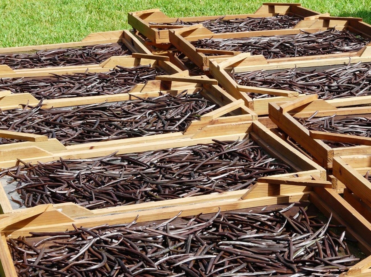 Подправка, която рядко купуваме. Това „черно злато” помага за отслабване и укрепва мозъка.