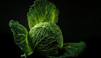 В кои продукти има най-много калций — ще се изненадате