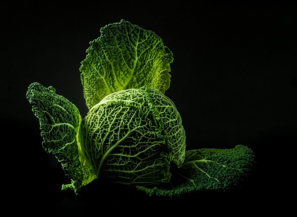 В кои продукти има най-много калций — ще се изненадате