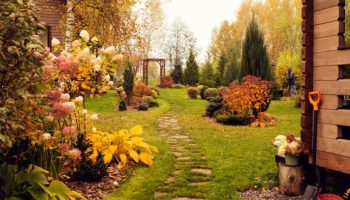 Октомври в градината е месец, пълен с контрасти.