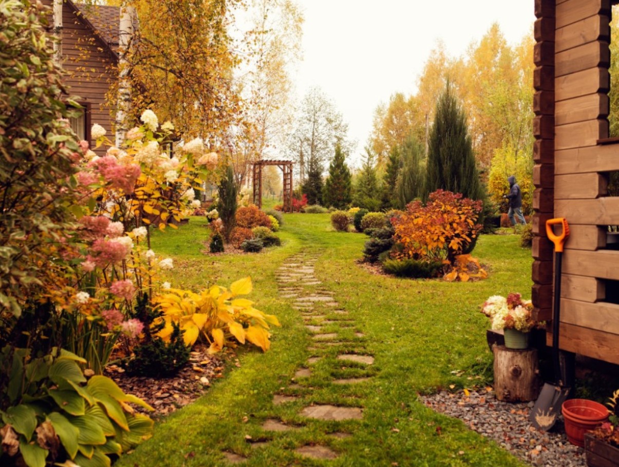 Октомври в градината е месец, пълен с контрасти.