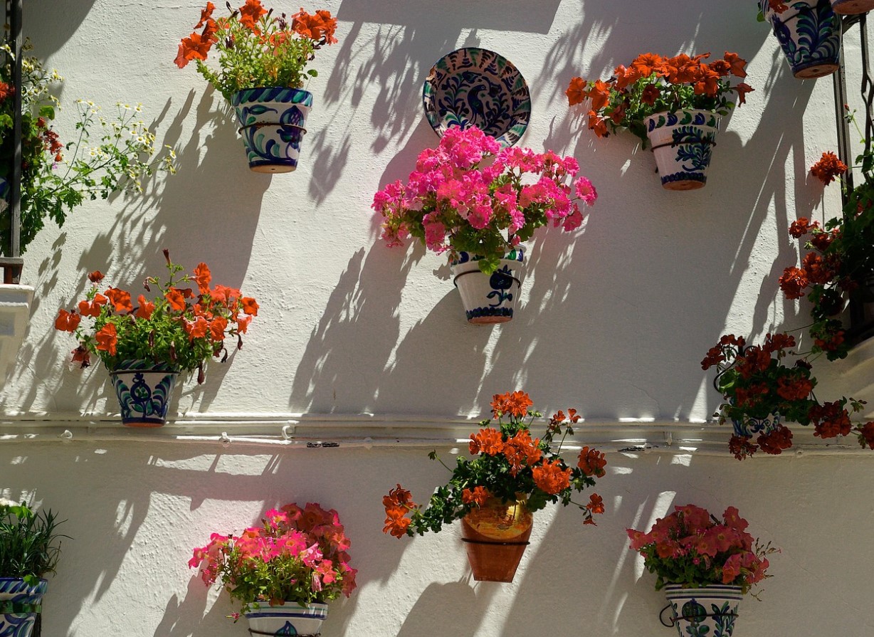 Защо старите градинари не купуваха нови здравец всяка пролет: прости стъпка по стъпка инструкции за зимуване, които ще ви спестят десетки евро