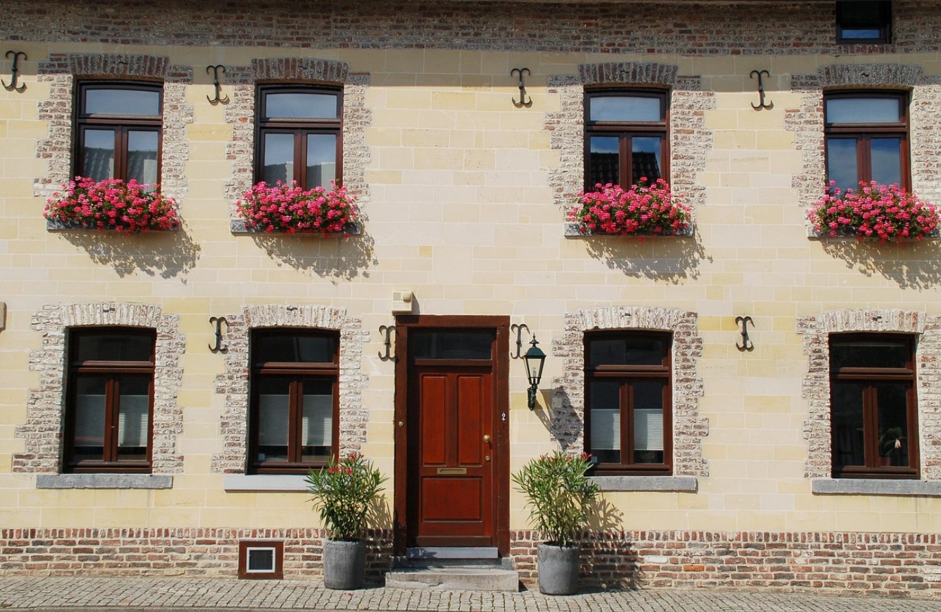 Защо старите градинари не купуваха нови здравец всяка пролет: прости стъпка по стъпка инструкции за зимуване, които ще ви спестят десетки евро