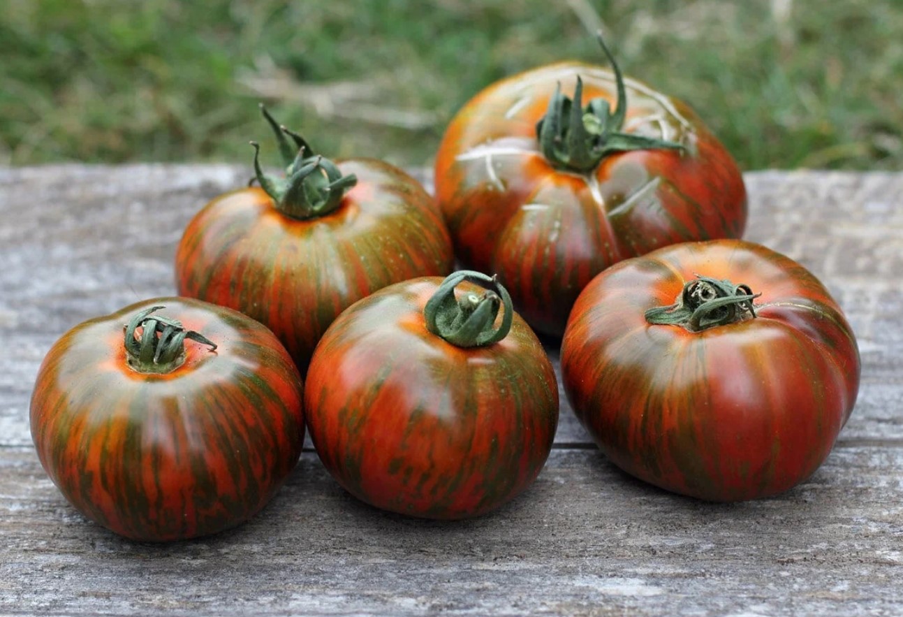 Красив сорт домати: расте „като на мая“ — огромни домати с особена окраска